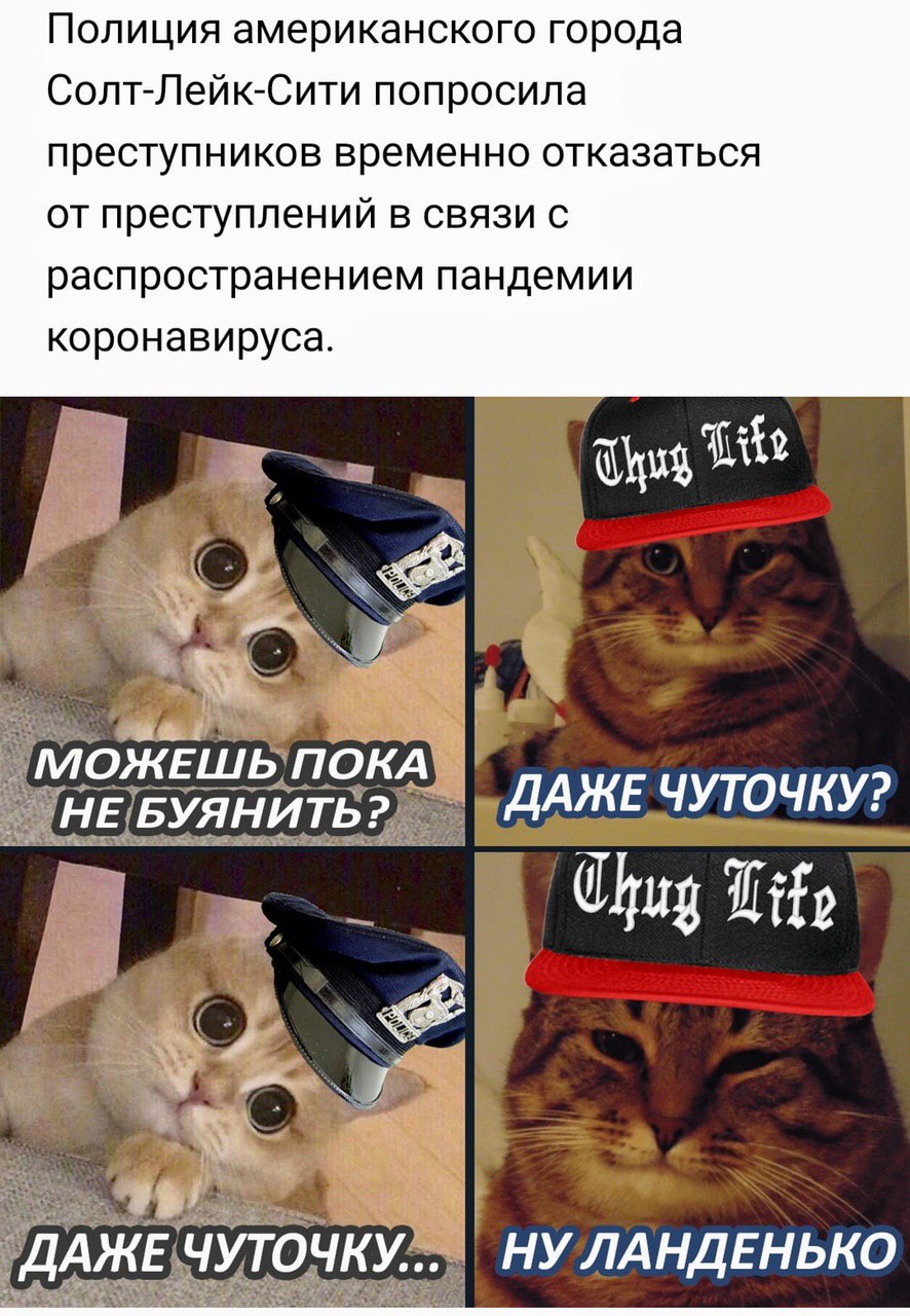 Полиция американского города Солт-Лейк-Сити попросила преступников временно отказаться от преступлении в связи распространением пандемии коронавируса Lite "МОЖЕШЬ! ПОКА БУЯНИ ДАЖЕ ЧУТОЧКУ? WHE! Chug i
