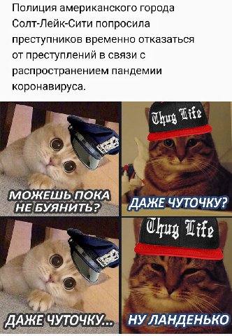 Полиция американского города Солт-Лейк-Сити попросила преступников временно отказаться от преступлении в связи распространением пандемии коронавируса Lite "МОЖЕШЬ! ПОКА БУЯНИ ДАЖЕ ЧУТОЧКУ? WHE! Chug i