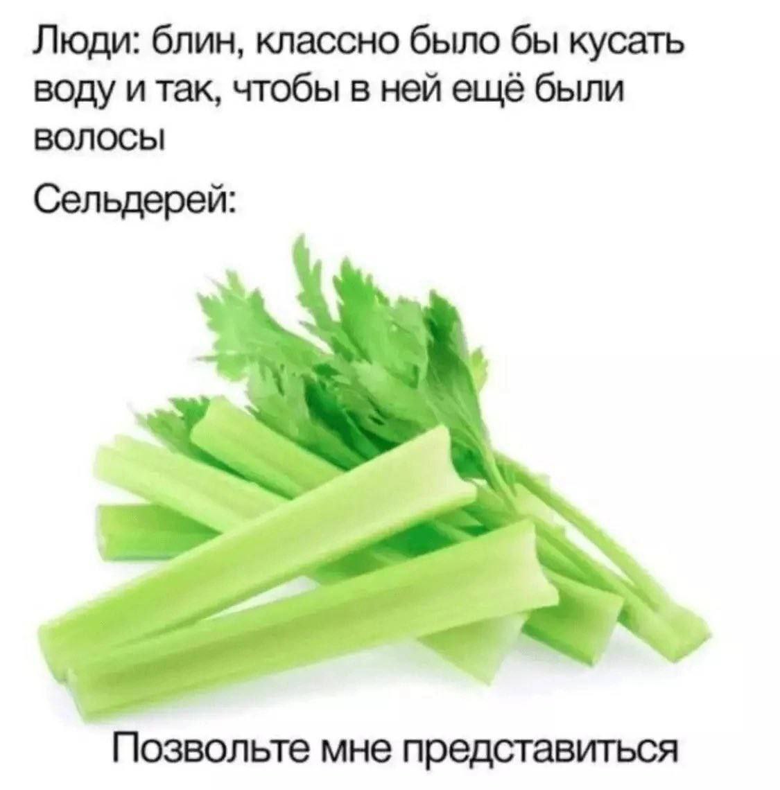 Люди: блин, классно было бы кусать воду и так, чтобы в ней ещё были ВОЛОСЫ Сельдерей: Позвольте мне представиться