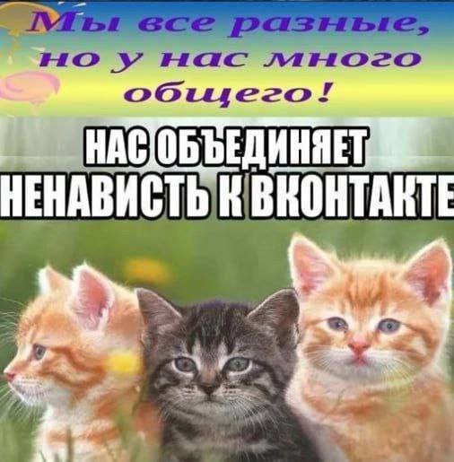 об его! НЕНАВИСТЬ К ВКОНТАКТЕ of