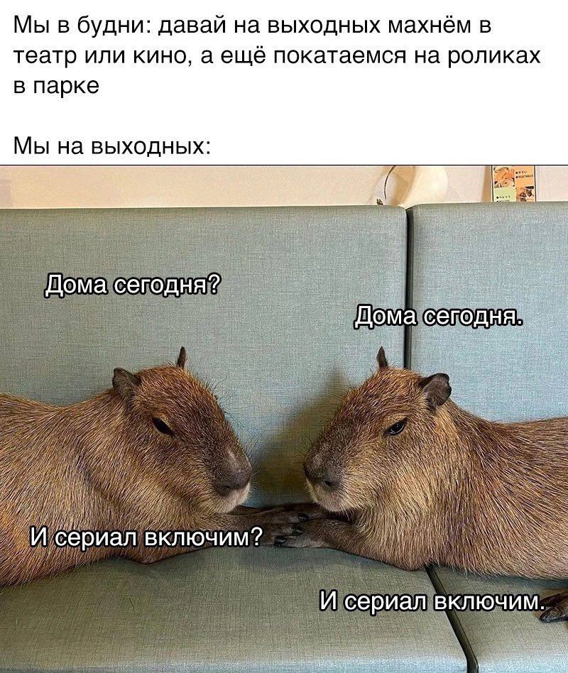 Мы в будни: давай на выходных махнём в театр или кино, а ещё покатаемся на роликах в парке Мы на выходных: Дом сегодня Be ома сеподня aS 7. 7 ANS att SSS ANS AN и С риал включим?