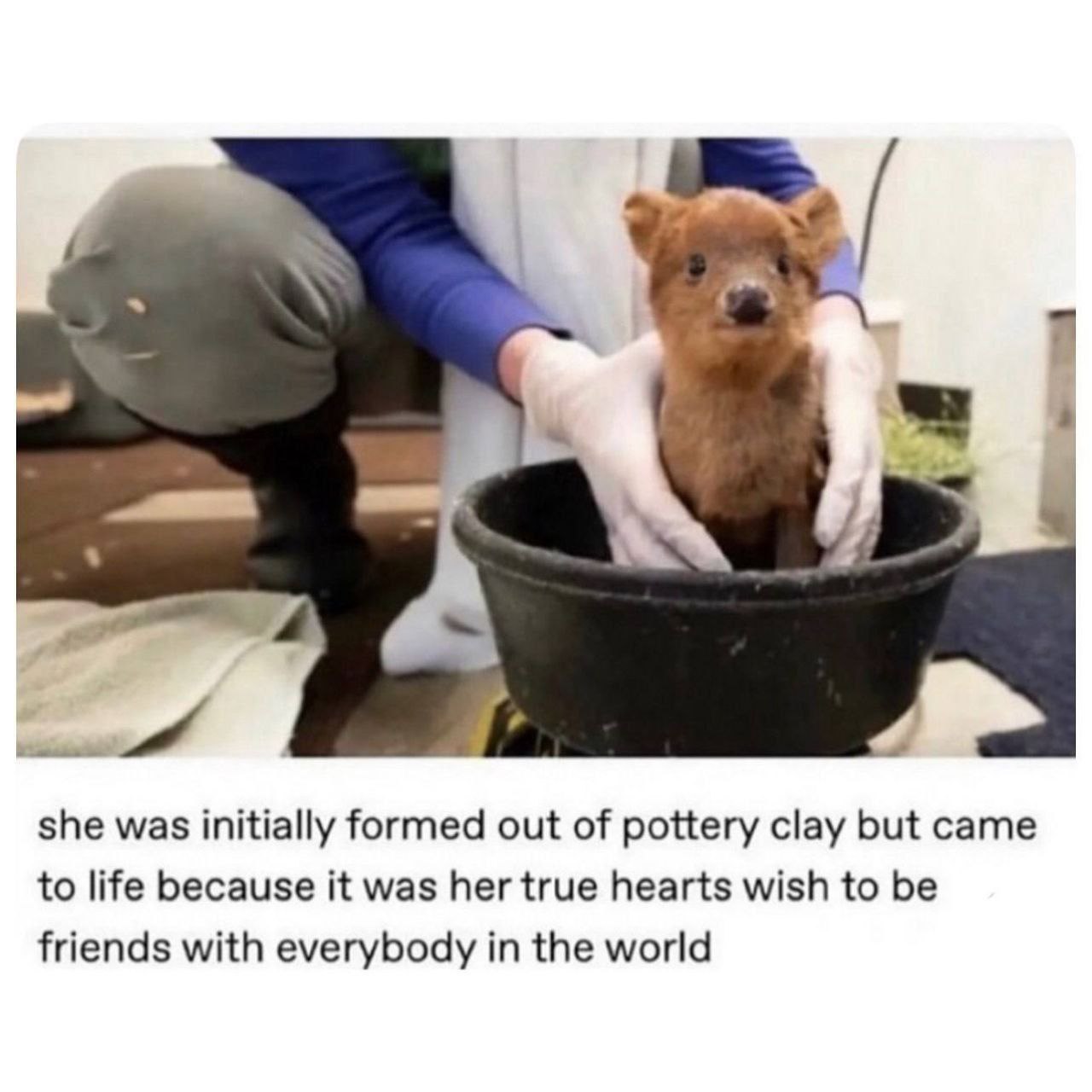 а 7 she was initially formed out of pottery clay but came to life because it was her true hearts wish to be friends with everybody in the world