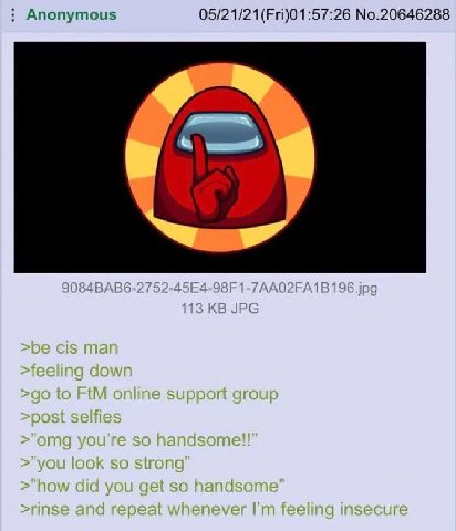 Anonymous No.20646288