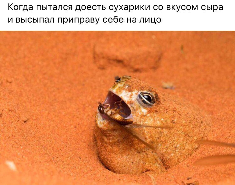 Когда пытался доесть сухарики вкусом сыра и высыпал приправу себе на лицо