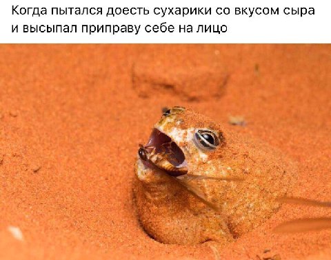 Когда пытался доесть сухарики вкусом сыра и высыпал приправу себе на лицо