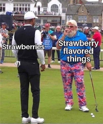 Strawberty Strawber flavored things 4 “4