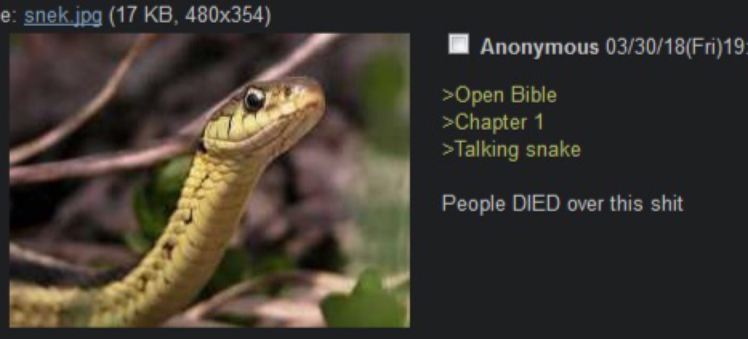 snek jpg (17 Anonymous >Ореп Bible >Chapter 1 >Talking snake People DIED over this shit