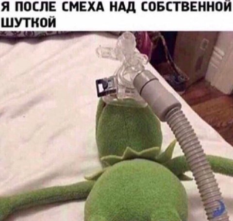 Я ПОСЛЕ СМЕХА НАД СОБСТВЕННОЙ ШУТКОЙ 4