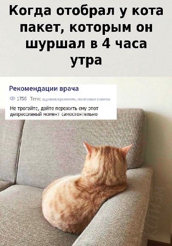 Когда отобрал у кота пакет, которым он шуршал в 4 часа утра Рекомендации врача 1756 Теги: Не трогайте, дайте пережить ему этот депрессивный момент 7$ i К DATS