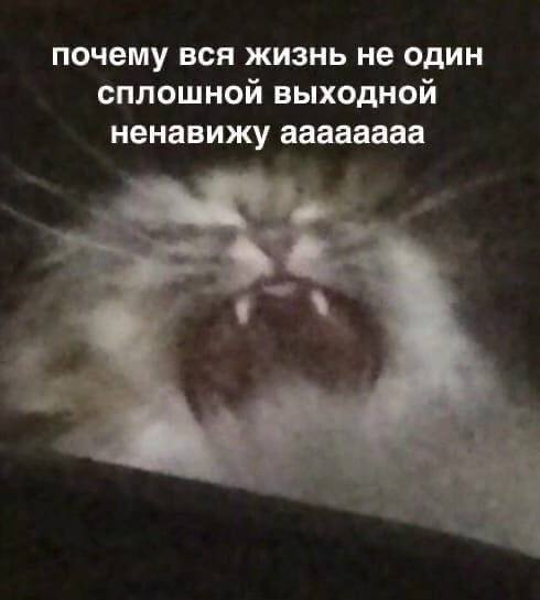 почему вся жизнь не один сплошной выходной ненавижу аааааааа