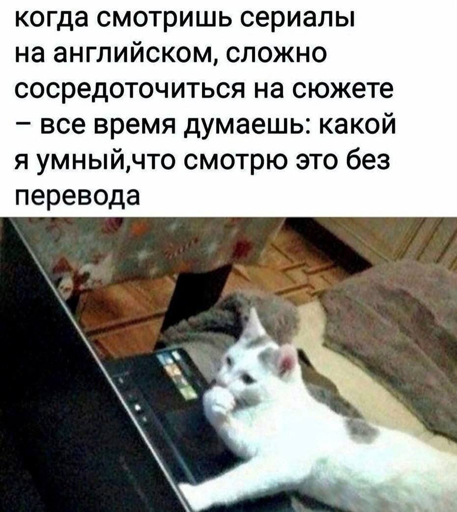 когда смотришь сериалы на английском, сложно сосредоточиться на сюжете все время думаешь: какой я смотрю это без перевода