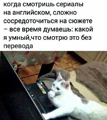 когда смотришь сериалы на английском, сложно сосредоточиться на сюжете все время думаешь: какой я смотрю это без перевода
