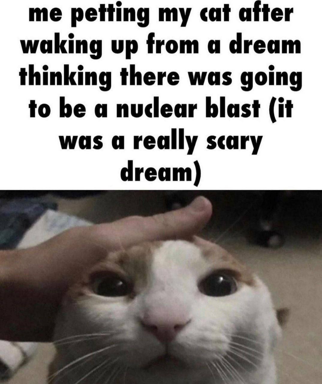 me petting cat аНег waking up from a dream thinking there was going to be a nuclear blast (it was a really scary dream)