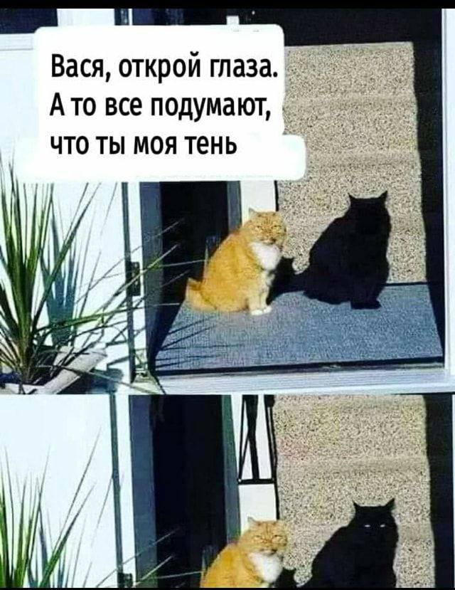 Вася, открой А то Bce подумают, что ты моя тень 2