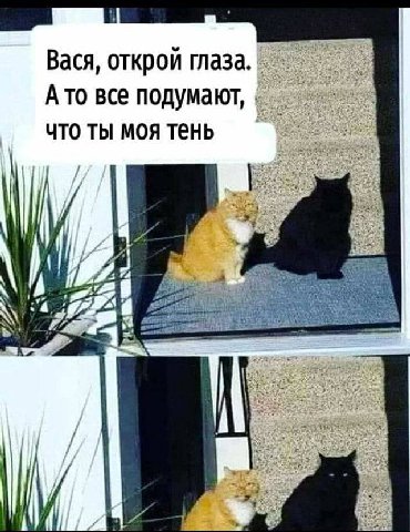 Вася, открой А то Bce подумают, что ты моя тень 2