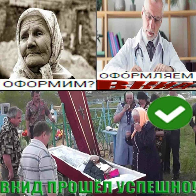 оформим оформляем вкид прошел успешно