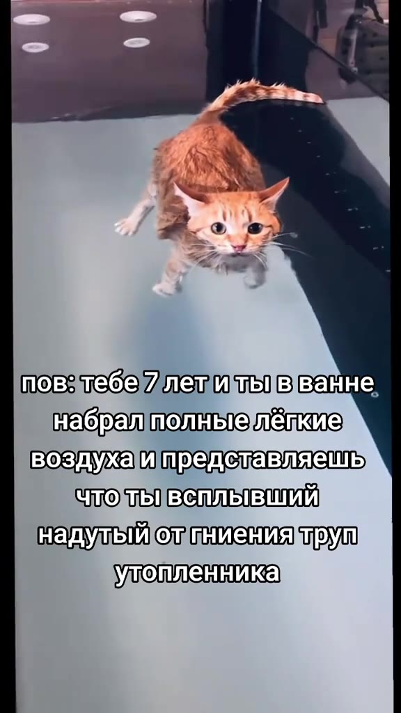 пов-тебе/лещитьвванне, набралполныелепкие] воздухаи представляешь) чтоьВеплывший надульолуииниениямтрут NopsieGeyper Mi тыв ванне набралполныелёпкие итредставляешь ЧТОТЬВСПЛЫВШИЙ надуль'олиниенияйтрул