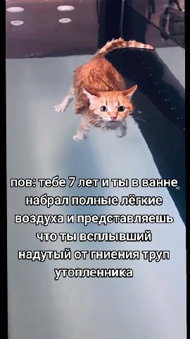 пов-тебе/лещитьвванне, набралполныелепкие] воздухаи представляешь) чтоьВеплывший надульолуииниениямтрут NopsieGeyper Mi тыв ванне набралполныелёпкие итредставляешь ЧТОТЬВСПЛЫВШИЙ надуль'олиниенияйтрул