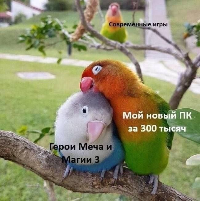 игры a Мой новы за 300 тыс врои Меч ware