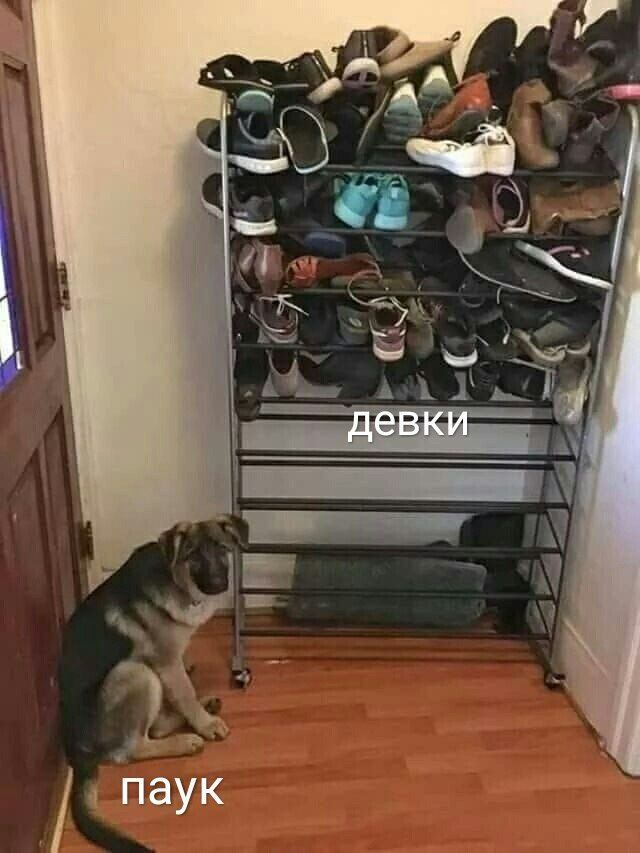 девки паук