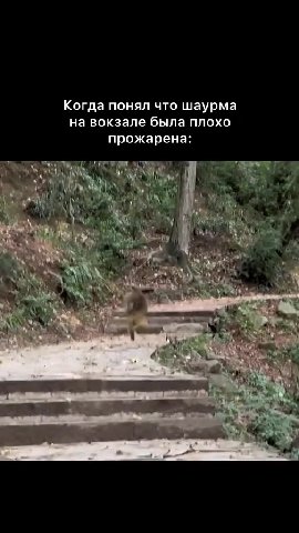 Когда понял что шаурма на вокзале была плохо прожарена: №: „зао ee вывыд Se: