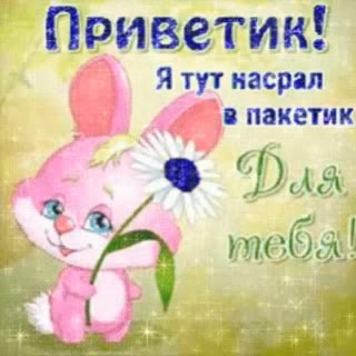 Приветик! Я тут насрал в пакетик