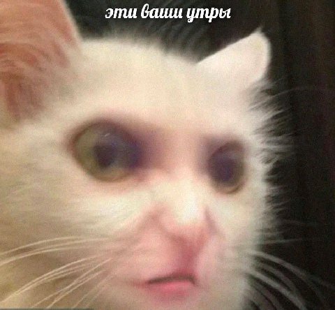 эти ваиш утры я