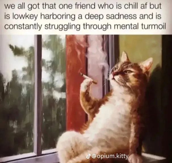 we all got that one friend who is chill but is lowkey harboring a deep sadness and is constantly struggling through mental turmoil