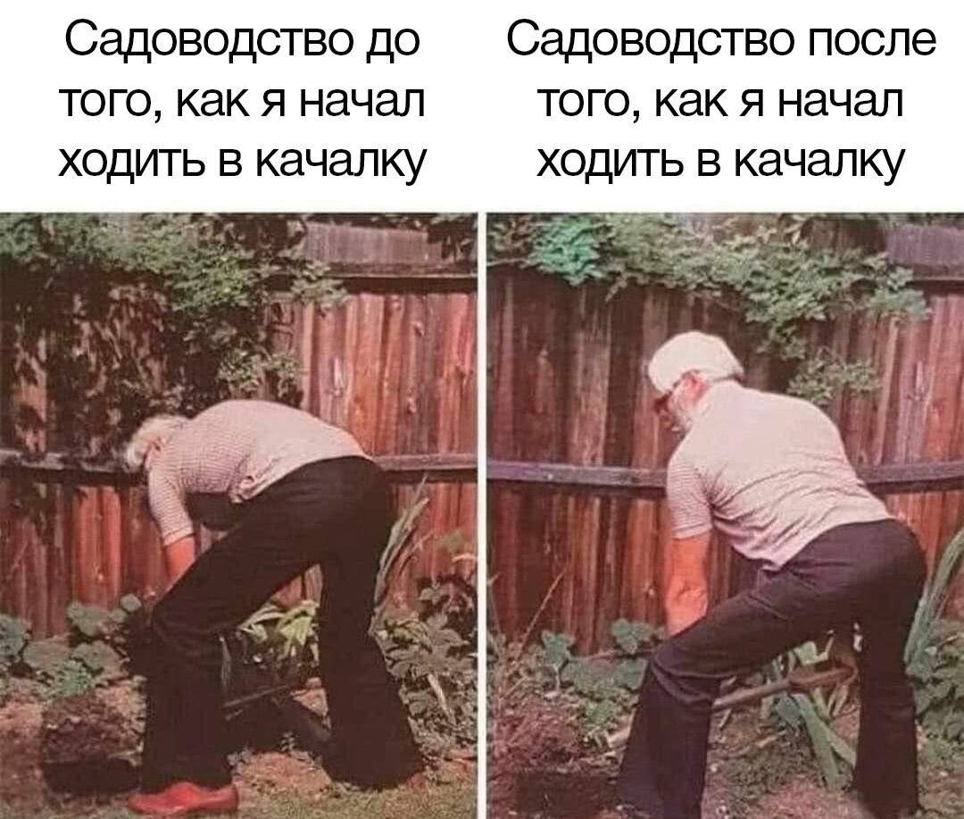 Садоводство до Садоводство после того, как я начал того, как я начал ходить в качалку ходить в качалку
