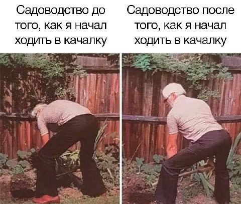 Садоводство до Садоводство после того, как я начал того, как я начал ходить в качалку ходить в качалку