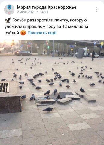 Mapua города Краснорожье 2 июл 2023 в 14:21 Голуби разворотили плитку, которую уложили в прошлом году за 42 миллиона рублей Показать ещё we: