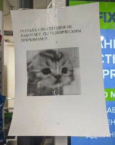 ОПЛАТА СПБ ГОДНЯ НЕ ЕХНИЧЕСКИМ РАБОТАЕТ, ПОТ ПРИЧИНАМ!!! i he