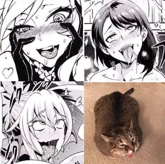 7 BRA