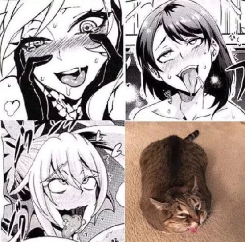 7 BRA