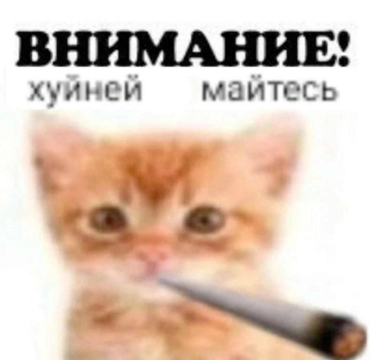 ВНИМАНИЕ! хуйней