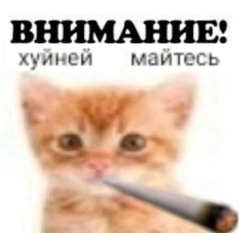 ВНИМАНИЕ! хуйней