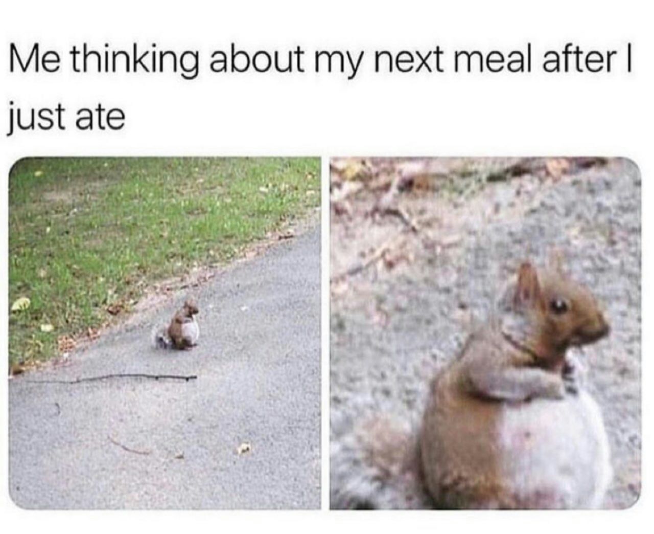 Me thinking about my next meal after just ate