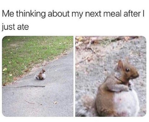 Me thinking about my next meal after just ate