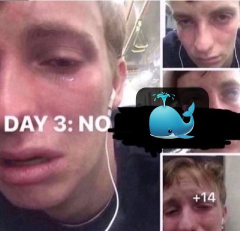 DAY 3: NO +14