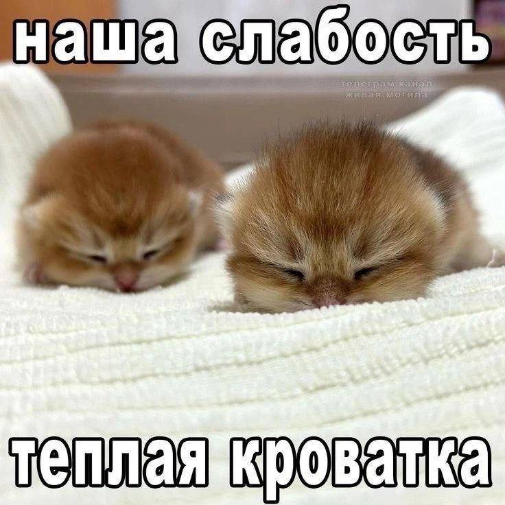 я а теплаяйкроватка