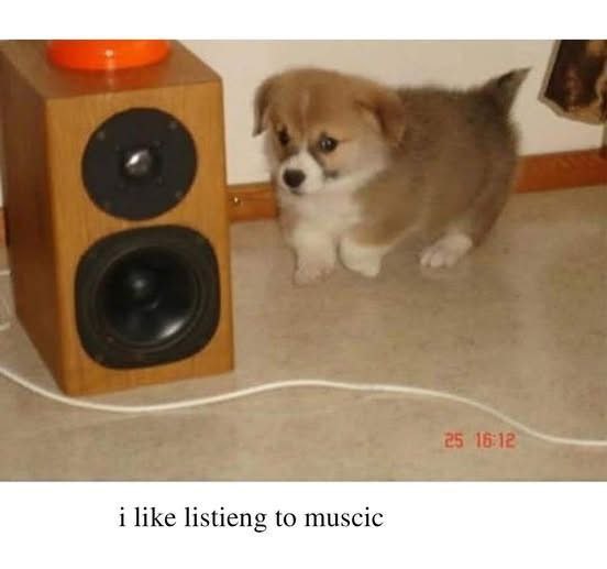 i like listieng to muscic