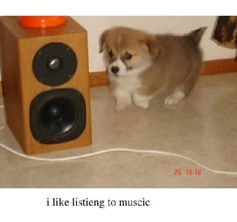 i like listieng to muscic