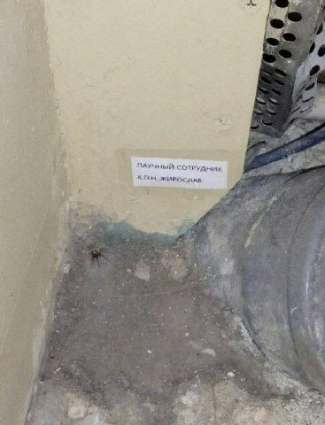 ПАУЧНЫЙ СОТРУДНИК 4 4 4