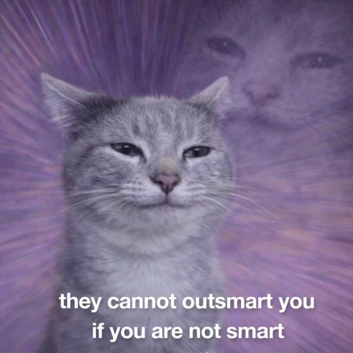 they cannot outsmart you if you are not smart