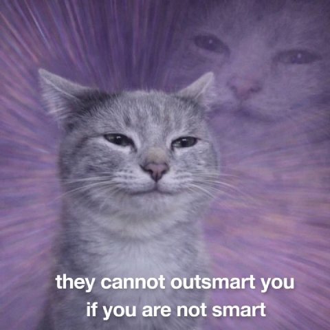 they cannot outsmart you if you are not smart