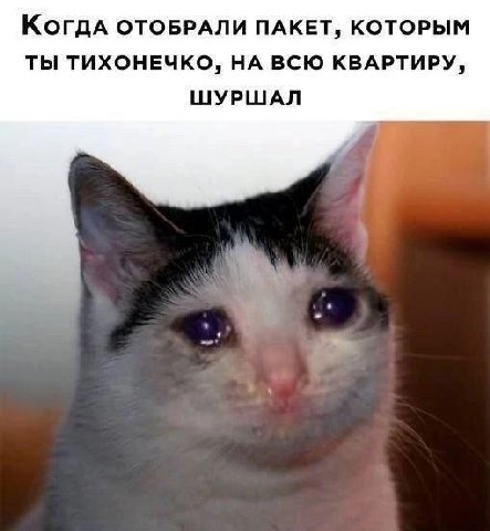 Когдад OTOBPANU ПАКЕТ, КОТОРЫМ ТЫ ТИХОНЕЧКО, НА ВСЮ КВАРТИРУ, ШУРШАЛ