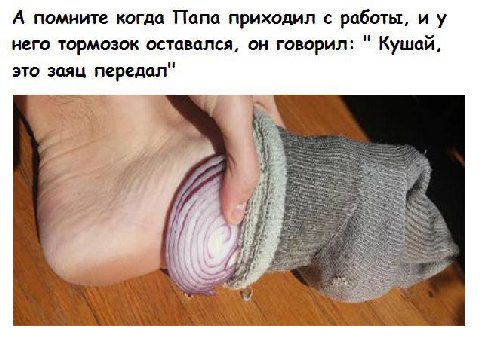 А помните когда Папа приходил с работы, него тормозок оставался, он говорил: Кушай, это заяц передал" а А a