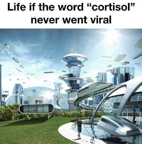 Life if the word “cortisol” never went viral A 7