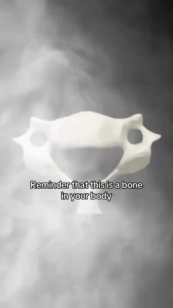 — Веттаевав 515 a bone “Reminder thagthisisabone — — гетитаегена this italien
