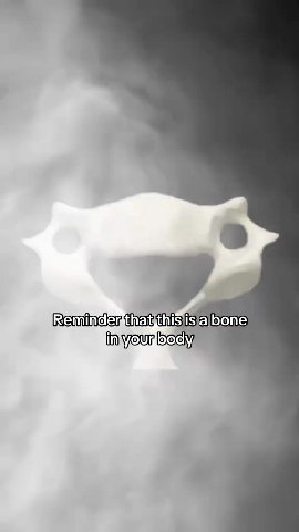 — Веттаевав 515 a bone “Reminder thagthisisabone — — гетитаегена this italien